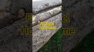 Gemalte Postkarten  Holzvideo mit Vogelgezwitscher