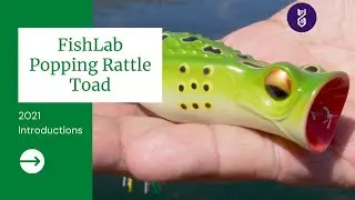 NEW - FishLab Popping Rattle Toad | Top Water Action
