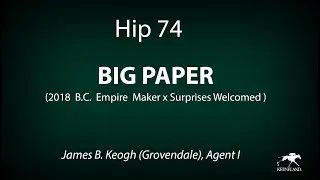 graphics-Hip 74