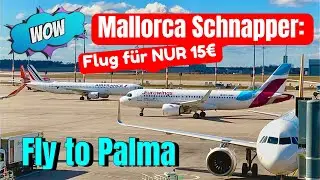 Palma Airport🌴🏖️MALLORCA Günstig nach MALLORCA TRAVEL-TIPP zum billigsten Flugticket #mallorca #vlog