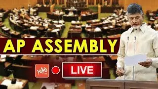 AP Assembly LIVE  | Andhra Pradesh Monsoon Session 2018 Live | Chandrababu LIVE | YOYO TV Channel