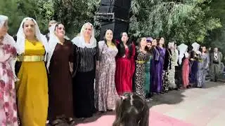 Fatih Ayas düğünü Part 3 Ayas ailesi Grup Welat Silopi