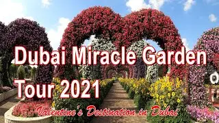 Dubai Miracle Garden Tour 2021