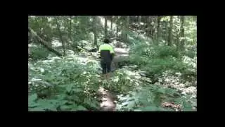 A Hike at Wooster Memorial (Spangler) Park