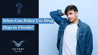 When Can Police Use Drug Dogs in Florida? | Contact Victory Law Firm P.A. Today!