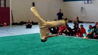 氏九节鞭 Nine Section Whip Demonstration | Guoshu Cup 2023 Martial Arts