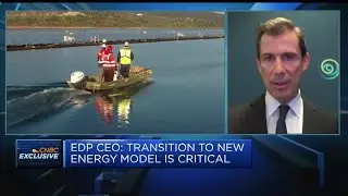 EDP CEO: 'Expect the unexpected' with gas prices