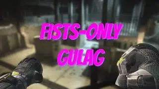 NEW *FISTS-ONLY* GULAG GAMEPLAY in WARZONE (Call of Duty: Modern Warfare)