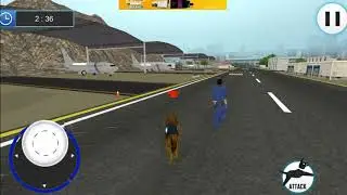 US Police Dog 2019: Airport Crime Shooting