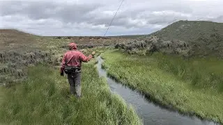TRICKLE ||  High Desert Fly Fishing