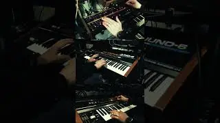 Juno what I'm saying #rolandjuno6  #synthesizer #akgbx15 #hologrammicrocosm #isenin