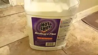 Hot Shot Bed Bug Killer: Does it work?