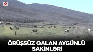 Örüşsüz qalan Aygünlü sakinləri