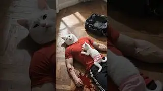 Cat's Epic Revenge 😼 | Robbers Hurt His Father&hellip; Big Mistake! 🐾💥 #shorts