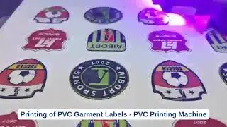 Amazing PVC Label Printing Machine | पीवीसी लेबल प्रिंटिंग मशीन | Free Demo Available | 88721-88721