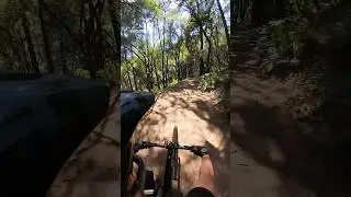 Specialized Kenevo SL 2 Expert