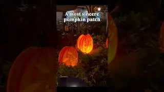 A Disney pumpkin patch 🎃 #disneyworld #magickingdom #disneyhalloween #shorts #disneyshorts #disney