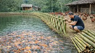 Man Builds the Longest Bamboo Fence Around a Massive Jungle Fish Pond | Start to Finish