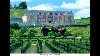 Domaine Carneros Winery 🍷 | One of the Best Napa Valley Vineyards, California