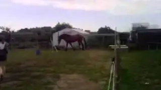Iluna & Troika doen zot.