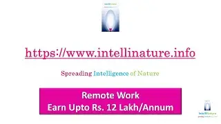 Remote Online Work