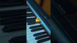 Yamaha 125 Soundchecked #pianobased #music #yamahapiano #yamahap125 #p125 #yamaha @johnlegend