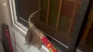 Clean With Me - Stunning 4K Transparent living room Window Cleaning With Top Clean3!💦💦🧼🧼