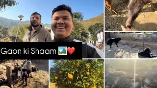 Gaon ki shaam ka apna hi sukoon hota hai ❤️