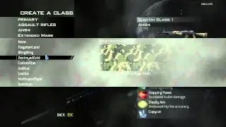 Many Different Call of Duty Weapons In MW2 RepZIW4