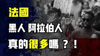真實的法國什麼樣子 旅法二十年告訴你真相 法國黑人阿拉伯人多嗎 法國移民真相