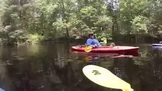 Five Mile River 2015