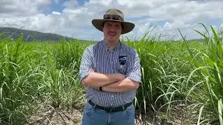RCL Careers - Multiple Roles across our Sustainable Agriculture Team