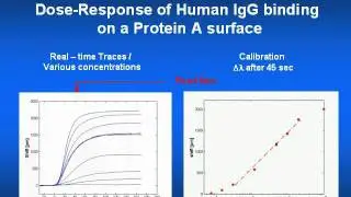 LamdaGen Dose-Response-Slide02.wmv