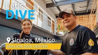 Sealion Dive Center | Buceo en el Mar de Cort&eacute;s&nbsp;|&nbsp;Sinaloa