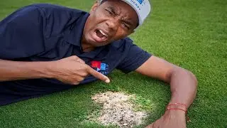 The REAL reason your lawn has bare spots and how to fix them