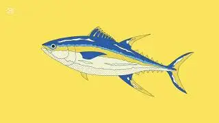 Learn Fish Names Part 1 | Interactive Underwater Adventure for Kids!