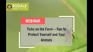 Ticks on the Farm - Tips to Protect Yourself and Your Animals