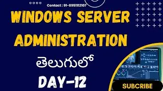 Active Directory Logical Structure: Forest vs Tree vs Domain