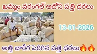 13-01-2026 ఖమ్మం వరంగల్ అధోని పత్తి ధరలు Khammam  warangal cotton prices #Khammam #warangal #adoni