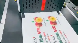 Cardboard color printing # Packaging box printing # Digital printer