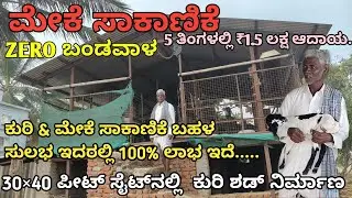 Zero Investment | 20 ಮೇಕೆ  | 5 ತಿಂಗಳಲ್ಲಿ ₹1.5ಲಕ್ಷ ಆದಾಯ | ಲಾಸೆ ಇಲ್ಲ