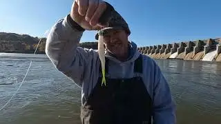 Oklahoma big bass bonanza!