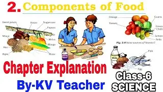 (PART-2) Components Of Food / Class-6 SCIENCE NCERT Chapter 2 / Explanation by KV teacher