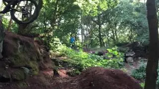 Hemlock Trails step up jump! Pegasusmtb