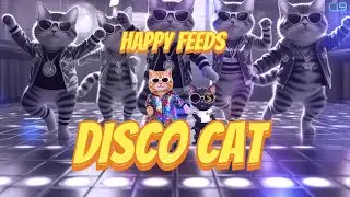 DISCO CAT ! - HAPPY FEEDS