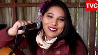 ROCIO NUÑEZ  -   EL ACAMPAO