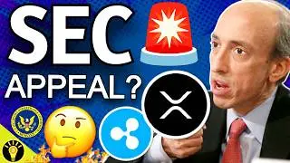 🚨ВНИМАНИЕ! Комиссия по ценным бумагам и биржам США (SEC) подаст апелляцию по делу Ripple XRP? С Фредом Рисполи