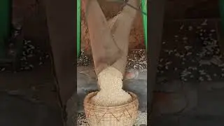 Muri Making Machine in Bankura West Bengal | Puffed Rice making machine