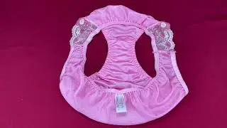 กางเกงในเซ็กซี่สีชมพูแบบญี่ปุ่น Panty Panties Women’s Bikini Sexy & Cute Girls Japanese Style Size M