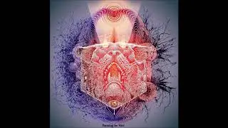 Forming The Void - Reverie (Full Album 2020)